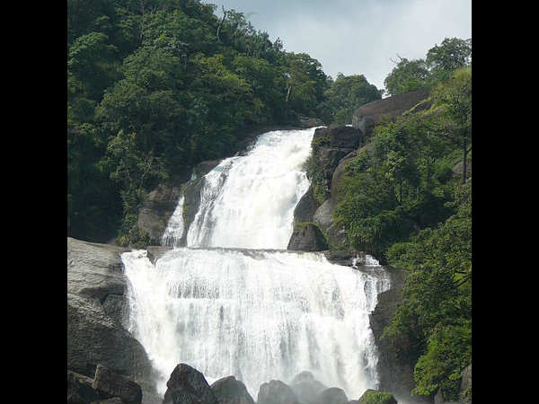 பாபநாசம் :