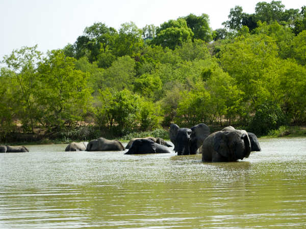 யானையை குளிப்பாட்டுவோமா ...? : 