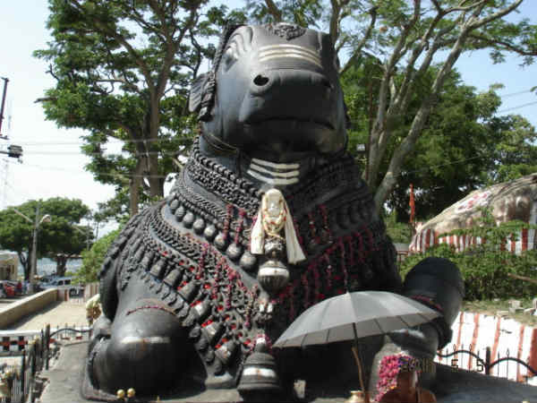 நந்தி கோயில் : 