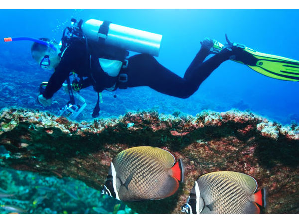 ஒன் இந்தியா கூப்பன்ஸ் வழங்கும் இந்த வாரத்திற்கான பயண சலுகைகள் 