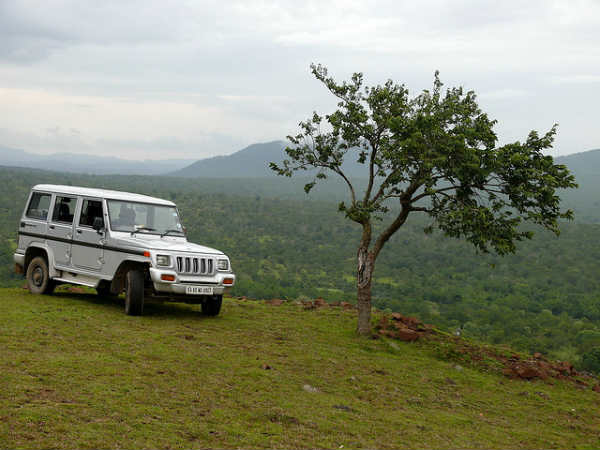 மசினகுடி - தீண்டா இயற்கை பேரழகு 