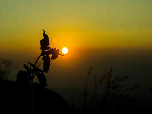 ஏற்காடு : 