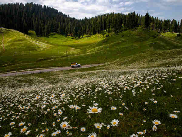 ஏப்ரல் - குல்மார்க் : 