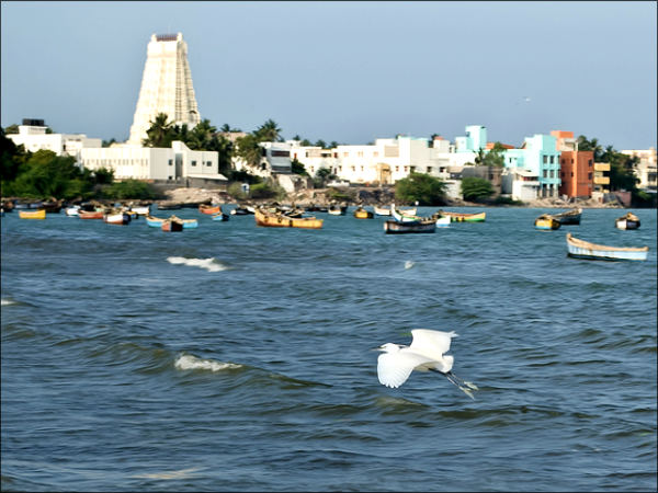 ராமேஸ்வரம் :