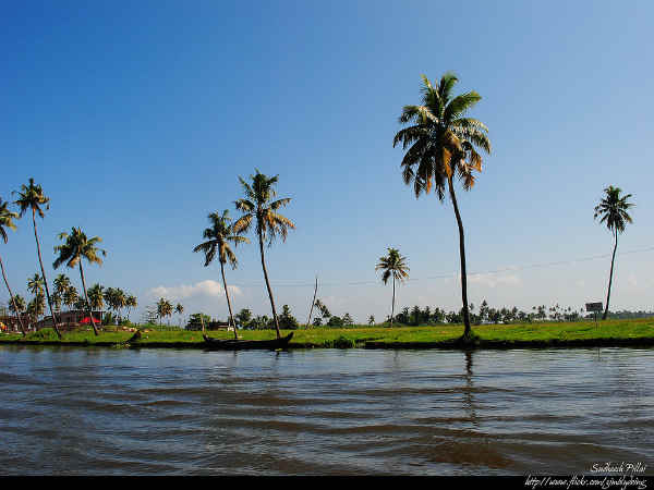  உப்பங்கழி நீரோடைகளும், படகு வீடுகளும் : 