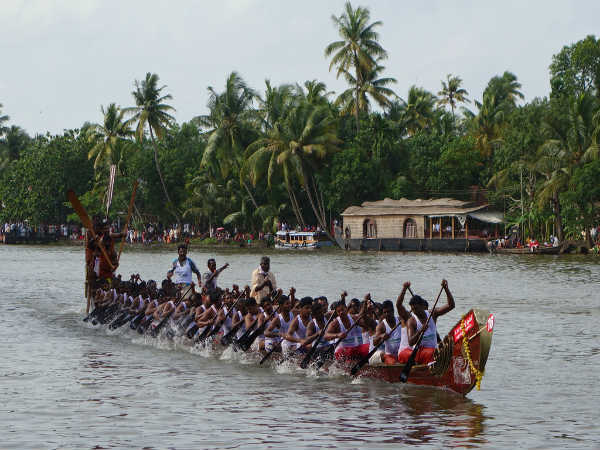 பாம்பு படகு போட்டி : 