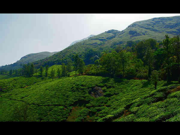 காதல் சிகரம்!! காதல் சிகரம்!!