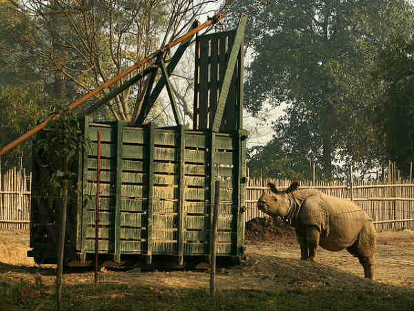 காசிரங்கா தேசிய பூங்கா - புகைப்படங்கள் 