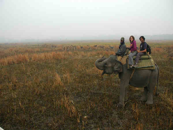 காசிரங்கா தேசிய பூங்கா 