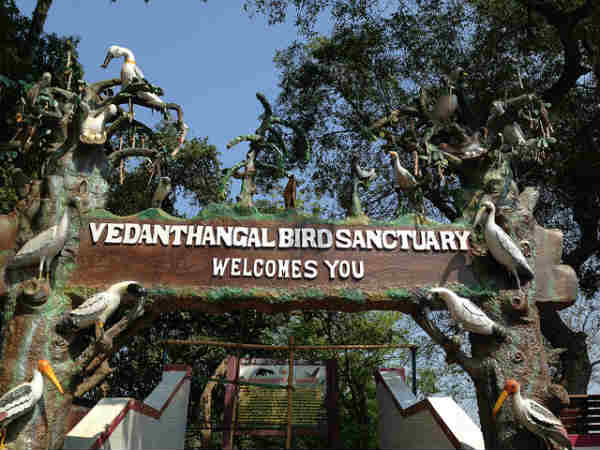 வேடந்தாங்கல் பறவைகள் சரணாலயம்