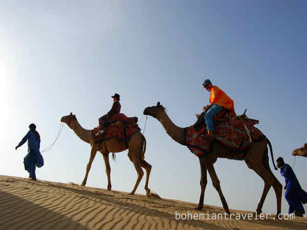 ஒட்டக சவாரி : 