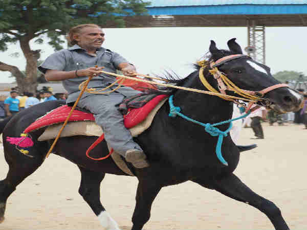 புஷ்கர் கால்நடை திருவிழா 