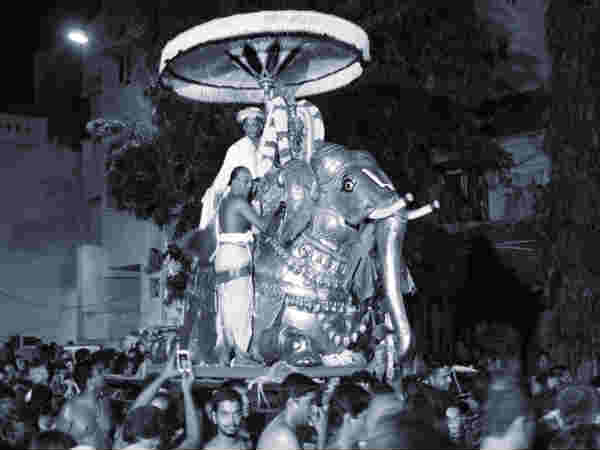 பார்த்தசாரதி என்றால் என்ன?: 