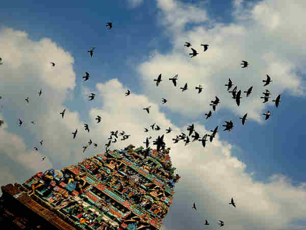 அழகிய சென்னை: அழகிய சென்னை: