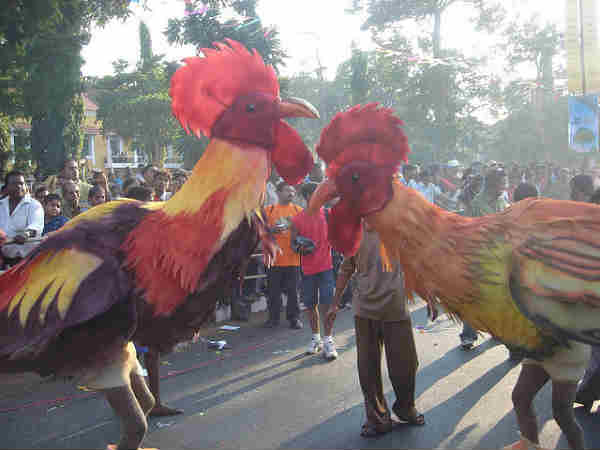 கோவா கார்னிவல்!!