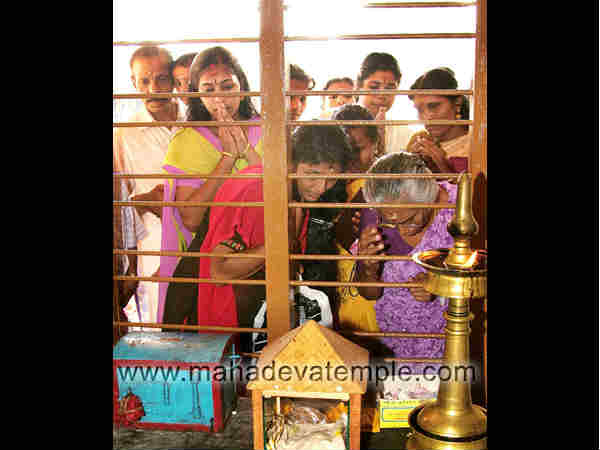 மாதவிடாய் விழா: மாதவிடாய் விழா: