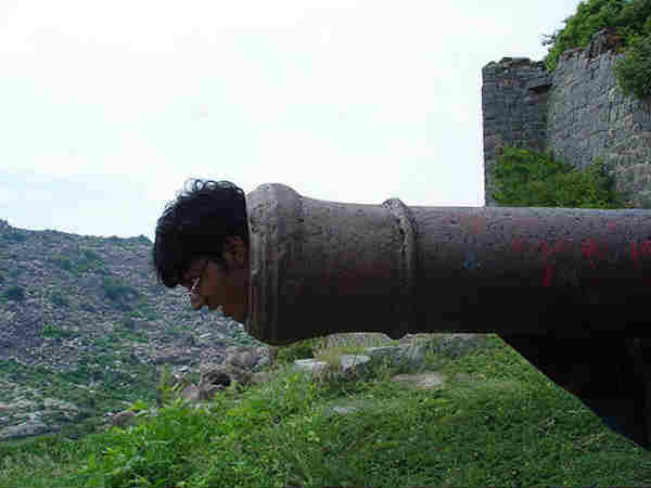 புகைப்படங்கள் !!