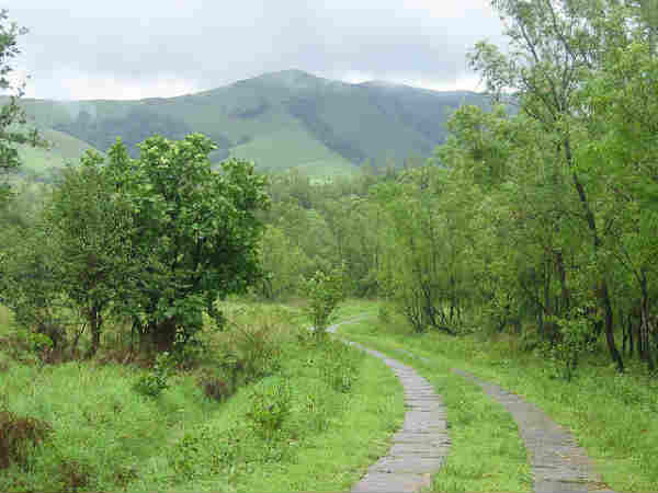 மலையேற்றப்பாதைகள்: 