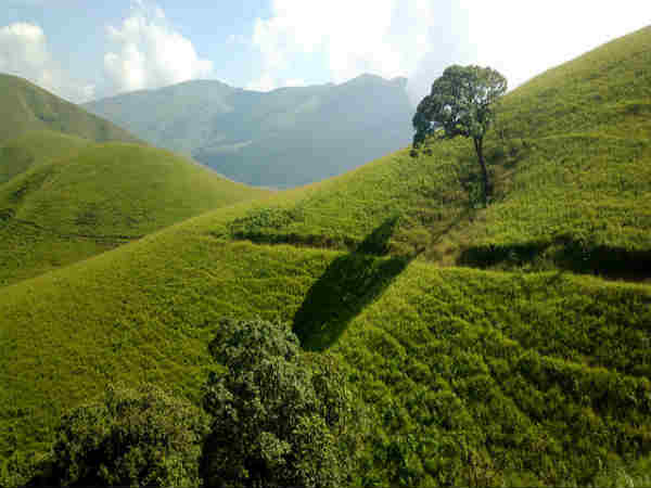 மலையேற்றப்பாதைகள்: 