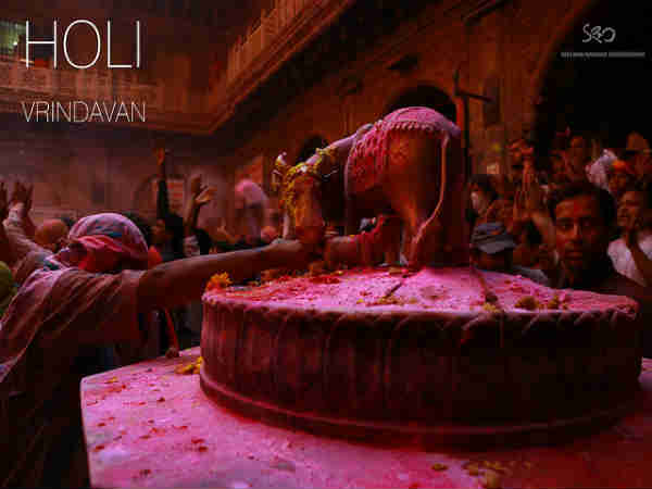 ஹோலி கொண்டாட்டங்கள் - புகைப்படங்கள்: 