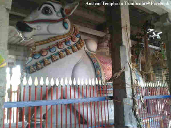 புகைப்படங்கள்: 