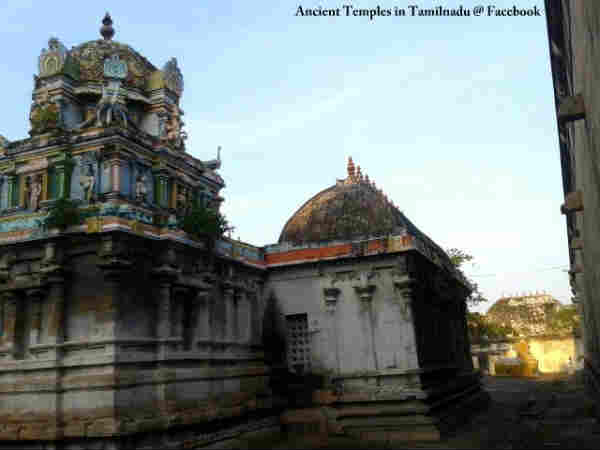 மகத்துவம்: 