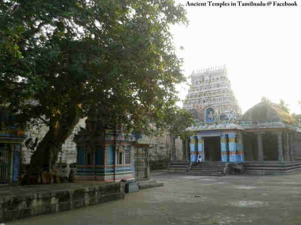 பிரம்மஹஸ்தி தோஷ நிவர்த்தி: 