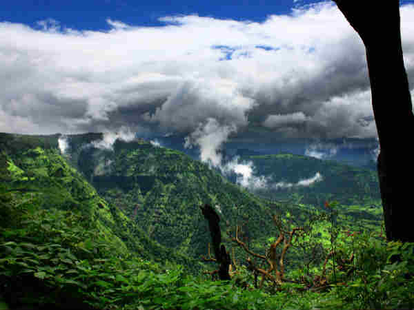 பெயர் காரணம்: 