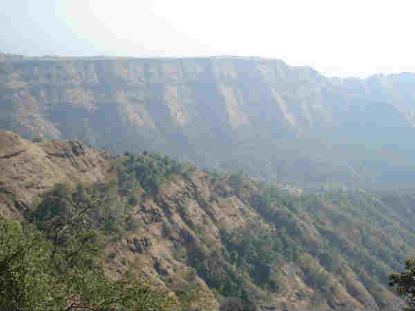 சிறப்புகள்: 