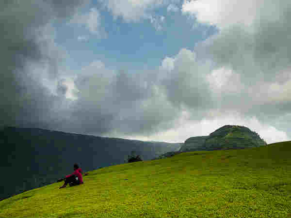 என்ன செய்யலாம் இங்கே?: 