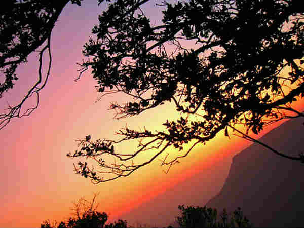 என்ன செய்யலாம் இங்கே?: 