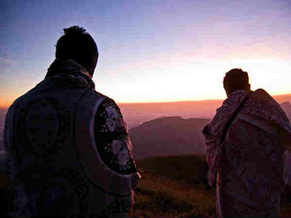 தடியண்டமோல்: 