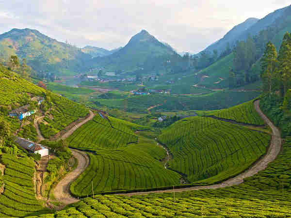 மேகமலையை எப்படி அடைவது? மேகமலையை எப்படி அடைவது?