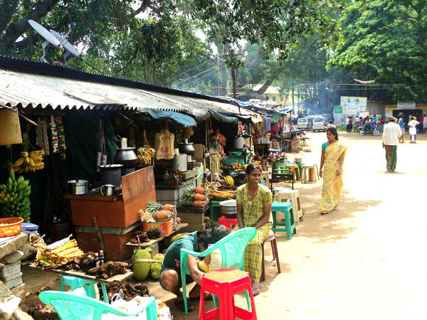 கொல்லி மலைக்கு ஒரு சிற்றுலா !