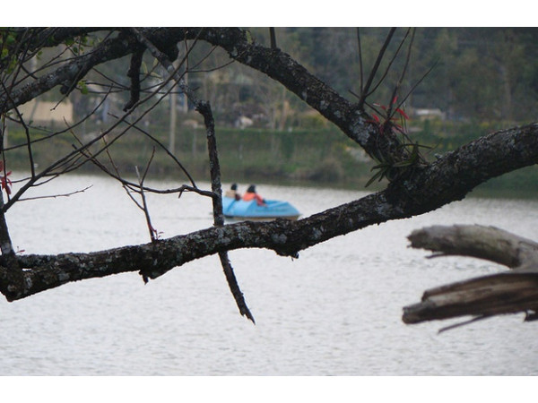 ஏற்காடு: 