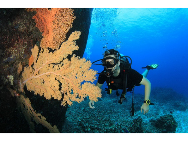 அந்தமானில் ஸ்கூபா டைவிங்