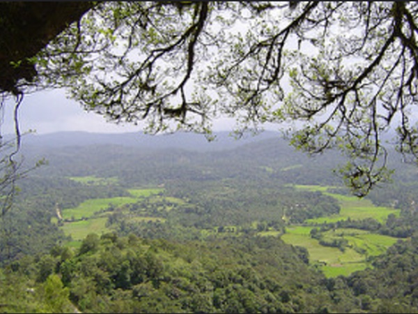  கூர்க், ஊட்டி, கொடைக்கானல்