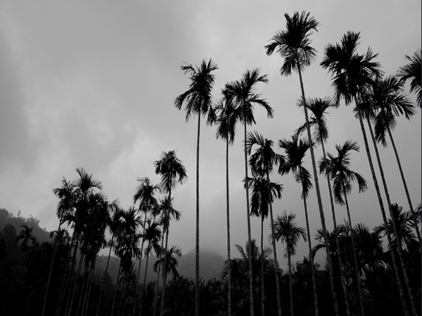 கடவுளின் தேசம் கடவுளின் தேசம்