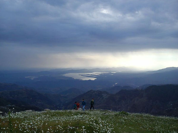 டல்ஹௌசி