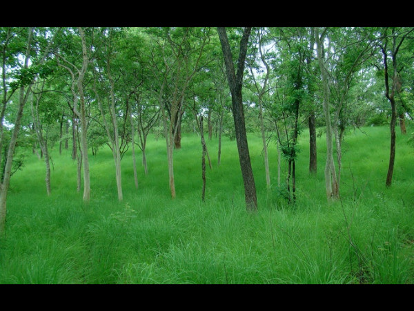கண்ணூர் கண்ணூர்