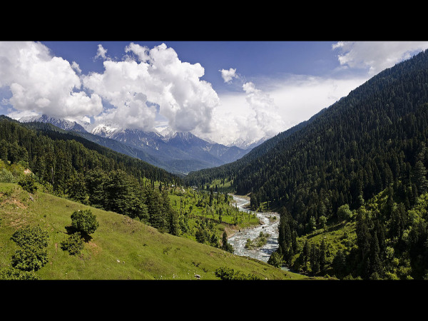 காஷ்மீர்