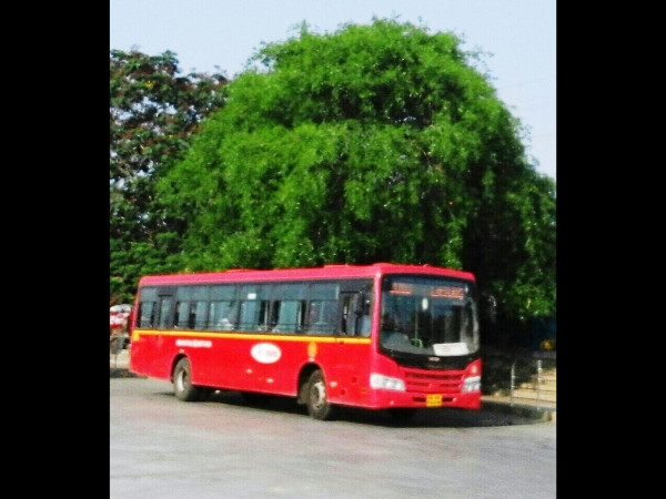 சாமுண்டி ஹில்ஸ் சாமுண்டி ஹில்ஸ்