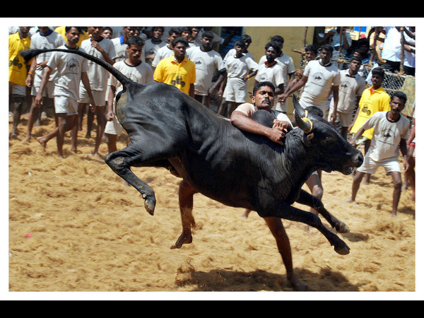 கொண்டாலம்பட்டி