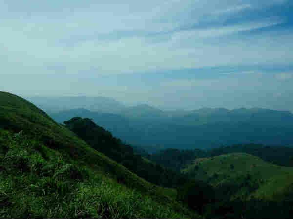 கவியின் கொள்ளைகொள்ளும் அழகு