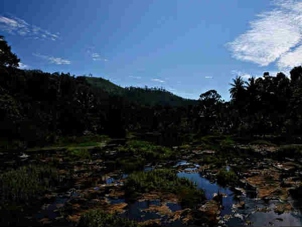 கவியின் கொள்ளைகொள்ளும் அழகு