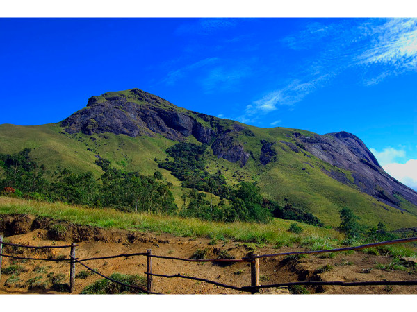 நாய்க்கொல்லி மலை