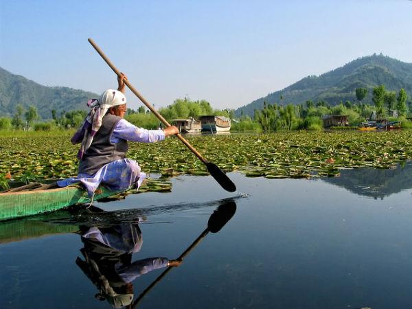 ஸ்ரீநகரின் அழகிய காட்சி