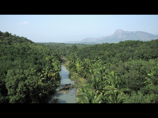 மாத்தூர் தொங்கு பாலம்,
