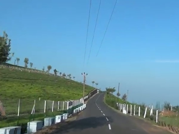 எஸ்ட்டேட் ல வேற என்ன இருக்கு?