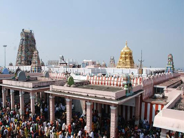 கட்டடக்கலை கட்டடக்கலை